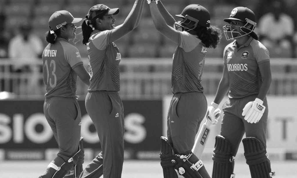 The Empty Information Point: Where Cricket Coverage's Data Supply Chain Breaks